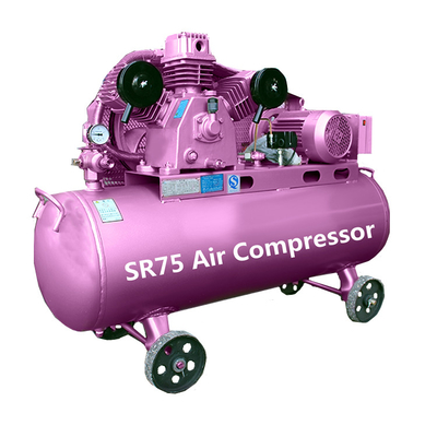 Compressori a reciprocazione Compressori d'aria elettrici di piccole dimensioni Compressori d'aria a pistoni